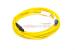 LC to MTRJ Singlemode Duplex 9/125 Fiber Patch Cable, 9 Meters