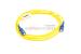 SC to SC Singlemode Simplex 9/125 Fiber Patch Cable, 2 Meters