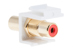 Keystone Snap In Red RCA Type F/F Module, White