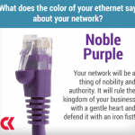 Ethernet - Purple - Nobility